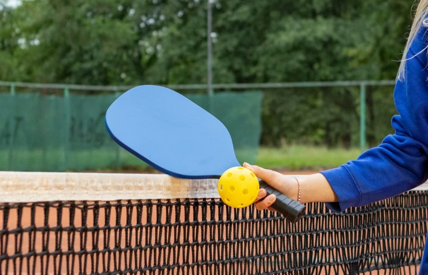 Hand holding a blue pickleball paddle and yellow ball above a net